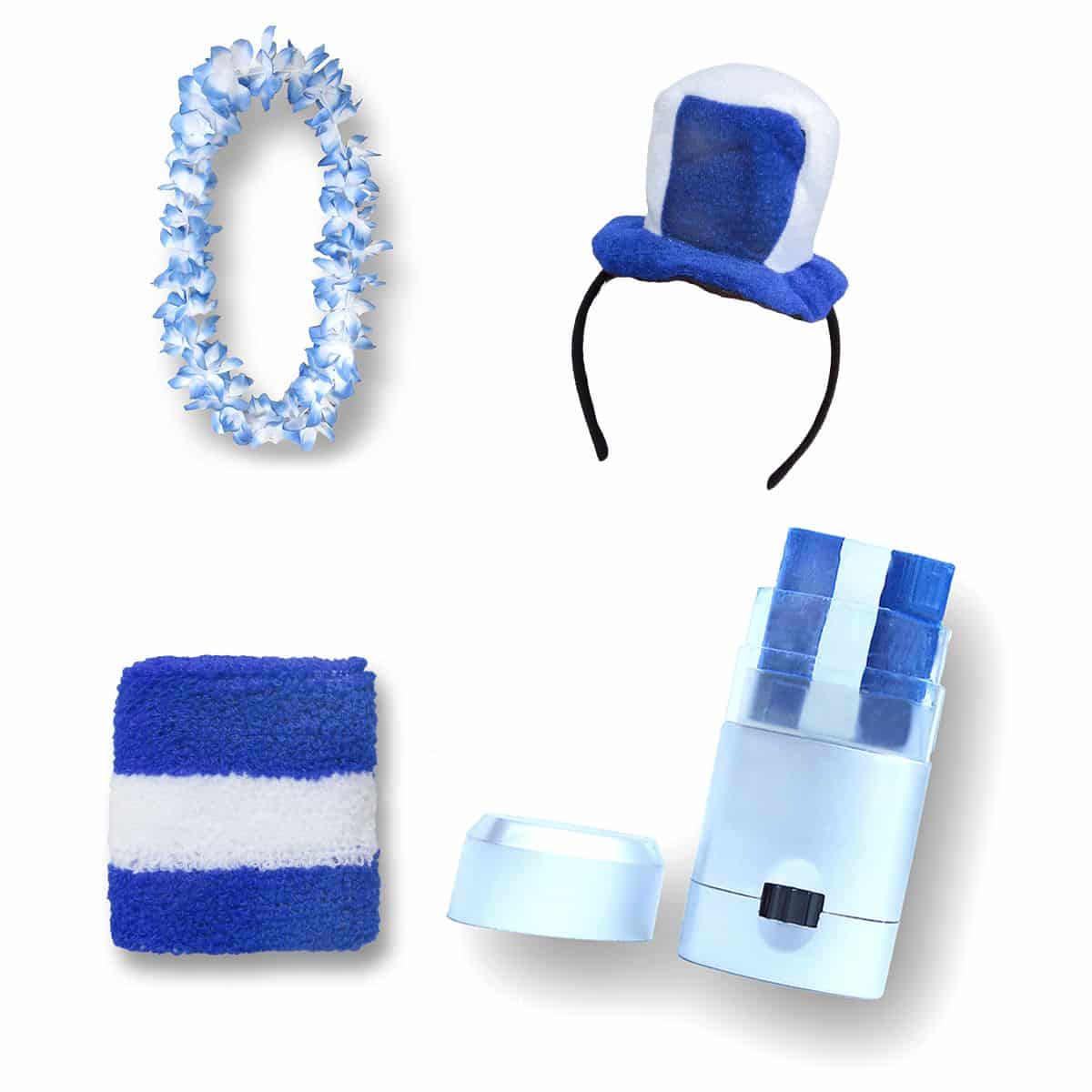 Fanset "Finnland" Mini Zylinder Haarreif Blumenkette Schminkstift Schweißband